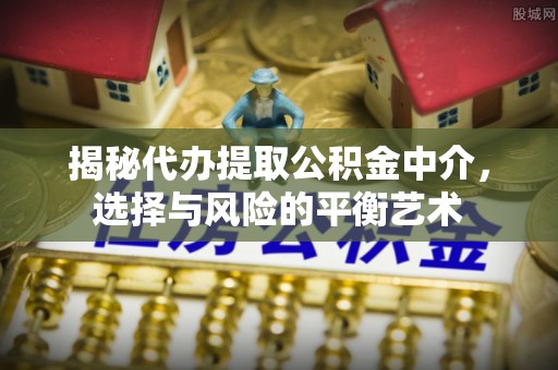 临高揭秘代办提取公积金中介，选择与风险的平衡艺术