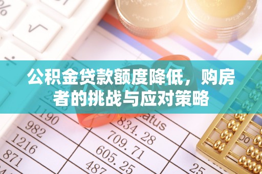 临高公积金贷款额度降低，购房者的挑战与应对策略