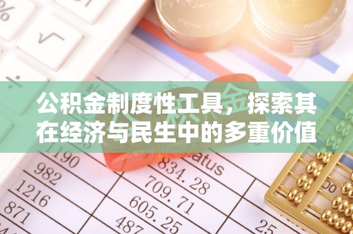 临高公积金制度性工具，探索其在经济与民生中的多重价值
