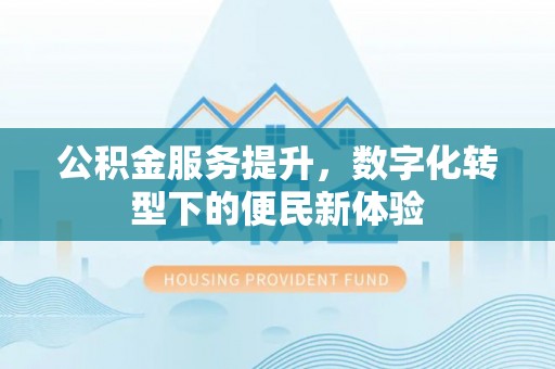 临高公积金服务提升，数字化转型下的便民新体验