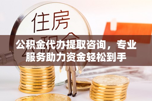 临高公积金代办提取咨询，专业服务助力资金轻松到手