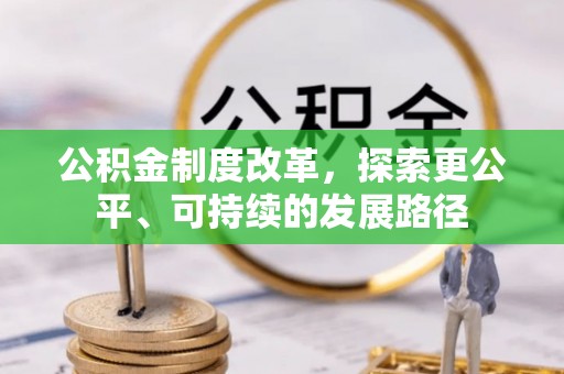 临高公积金制度改革，探索更公平、可持续的发展路径